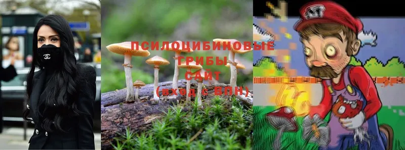 Галлюциногенные грибы Magic Shrooms  Всеволожск 